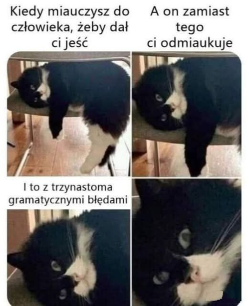 9b7f22e4-8c14-4962-88f3-01187115af14