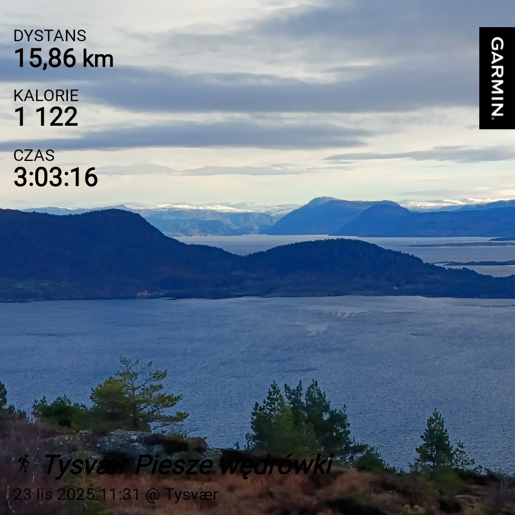 8b5d9709-34ff-4a29-b6bd-4f5b406cf7d8