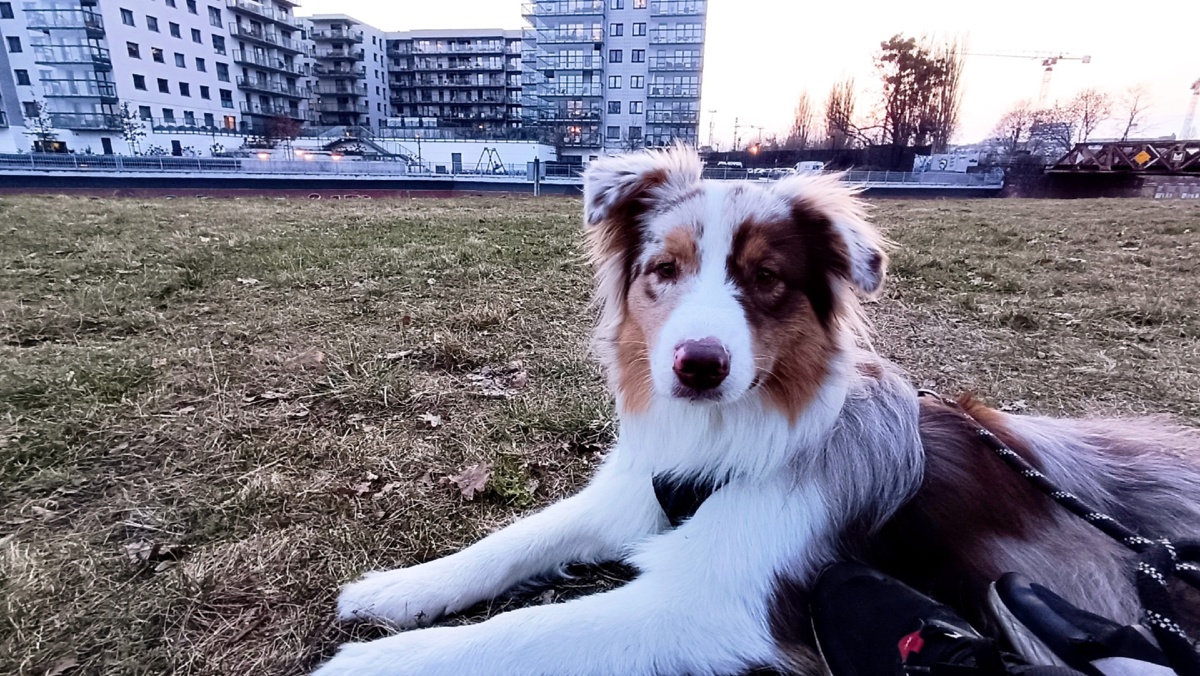 52449176-3951-4f45-89e4-9dfe97b7f3f0