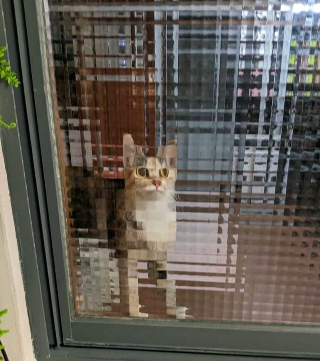 6b4122cc-6e9d-4a4a-85e2-9ee28f7ce426