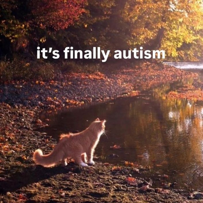 aeb59238-980d-4236-b867-169f9dc762ba