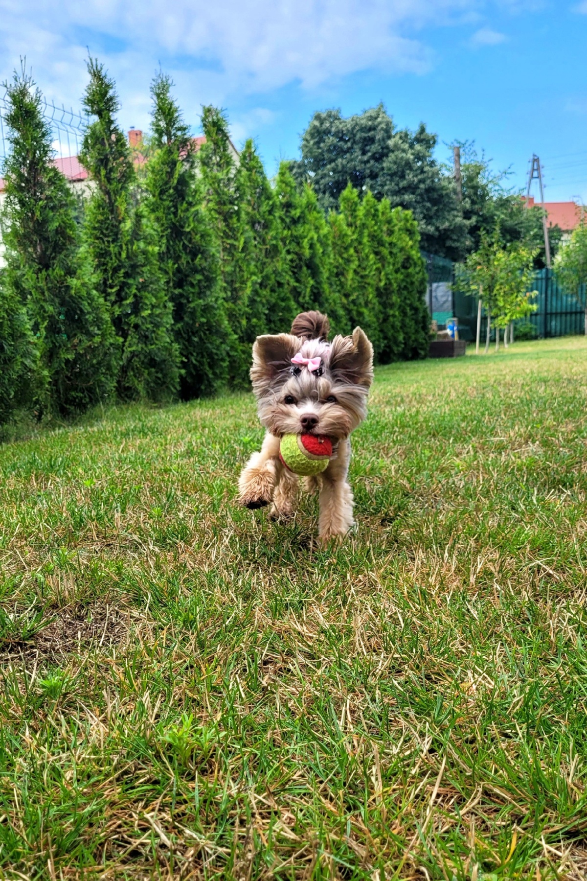 157fc632-a617-45db-a733-f4904745c81e