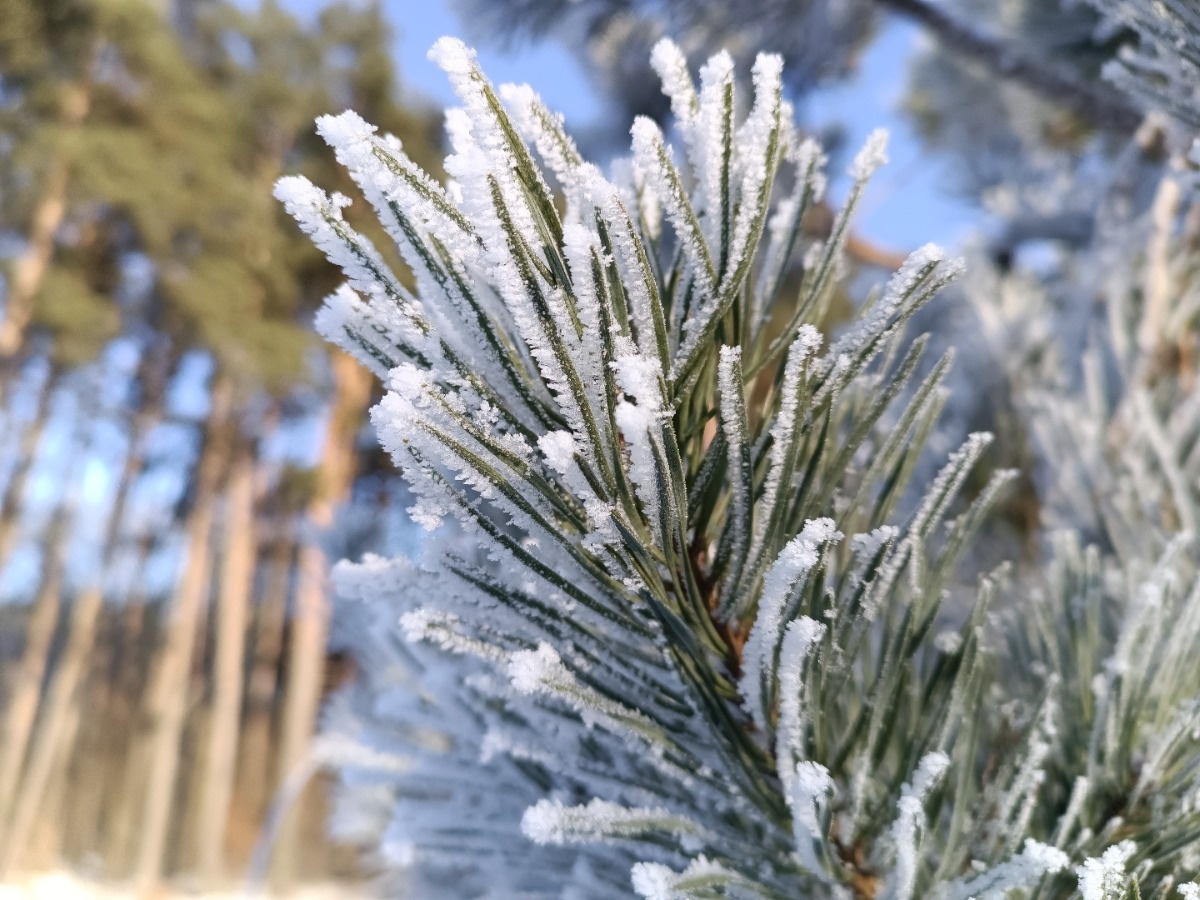 2de6d2c1-0539-4eee-be9e-ad577f3ab534