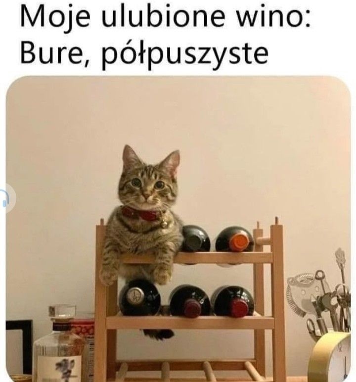 6e88a96f-c264-4371-a9ae-69fdcf75ff72