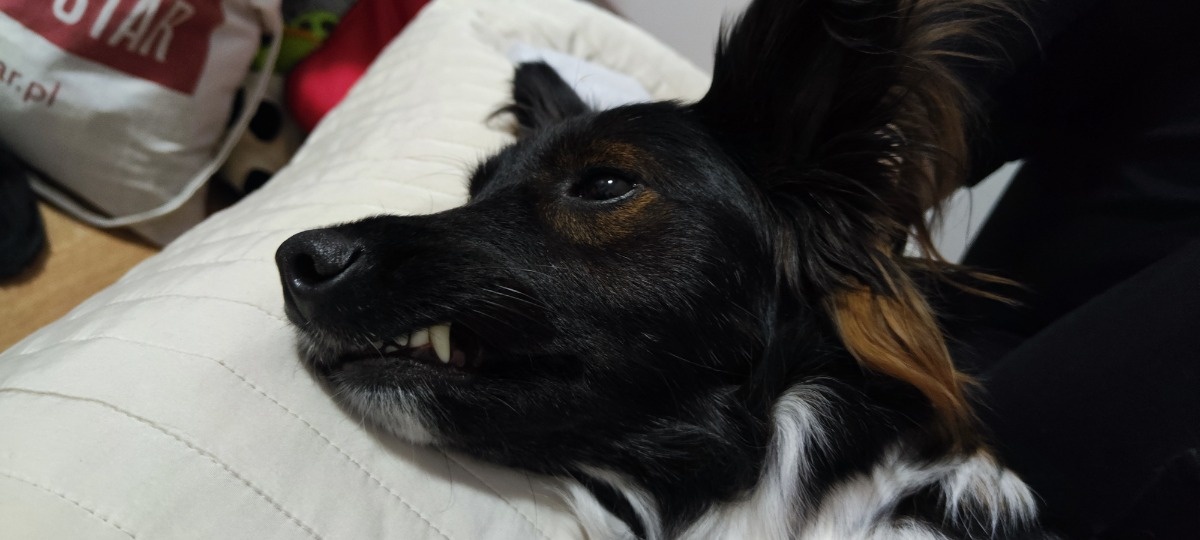 2f64bc29-b388-410e-81ad-986246367505