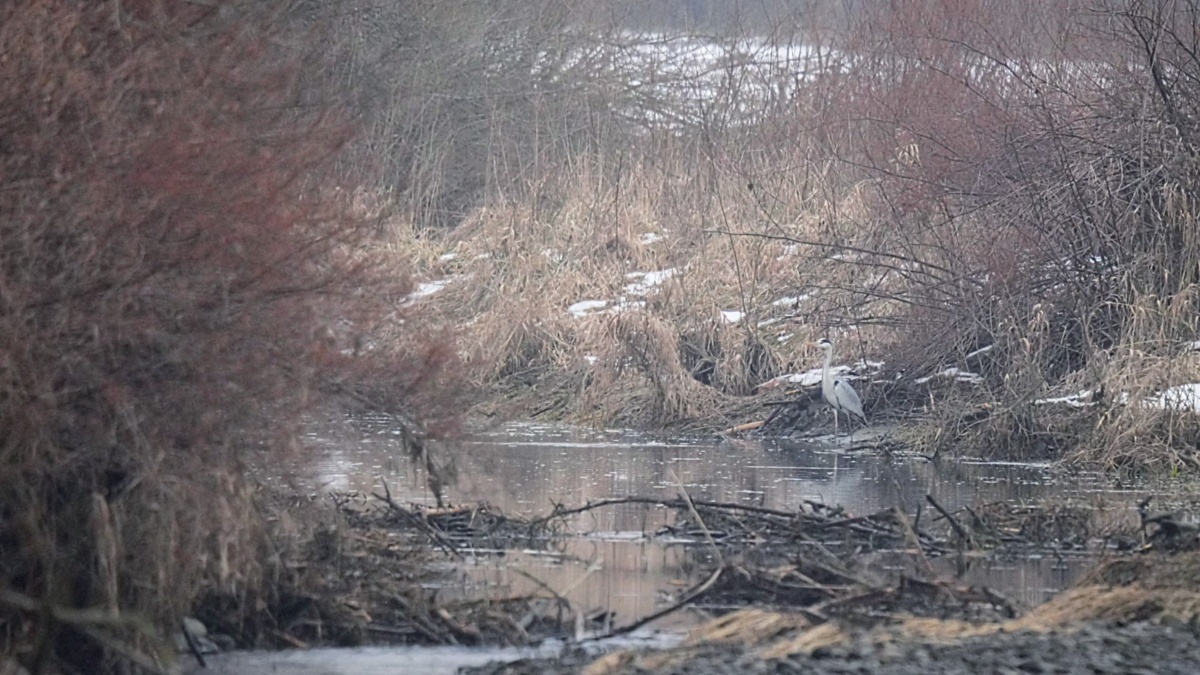 f853eb7f-660e-40fb-a409-1ba449251868