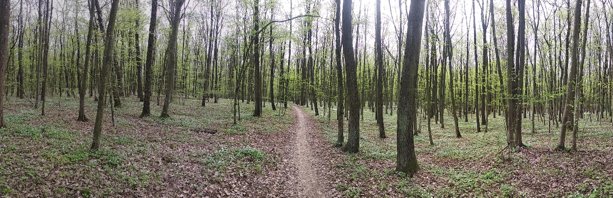 003f5392-1ade-4af1-b958-31c54ed4196a