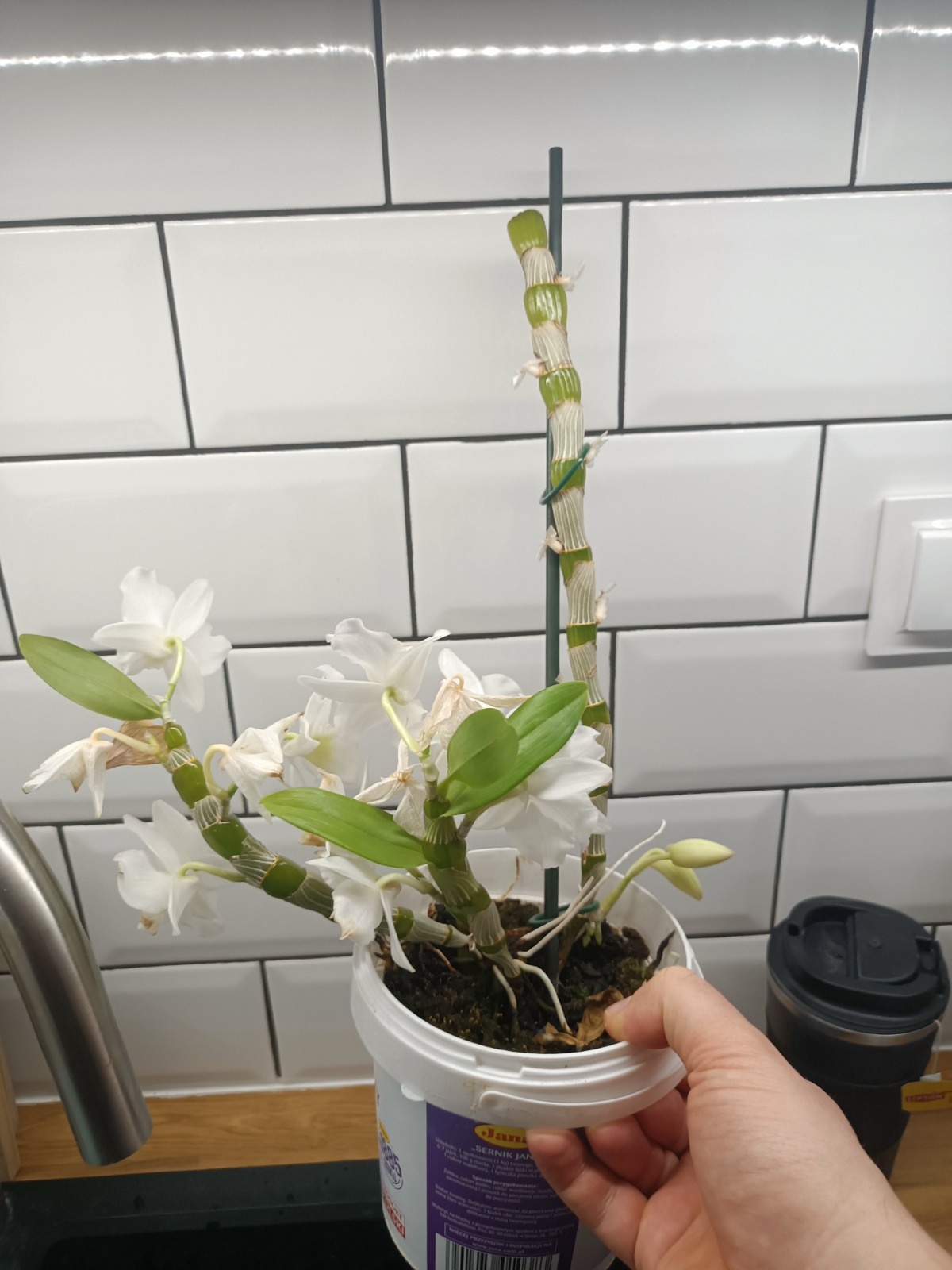 c5100b4b-27bb-4c0c-b563-48423077d7ef