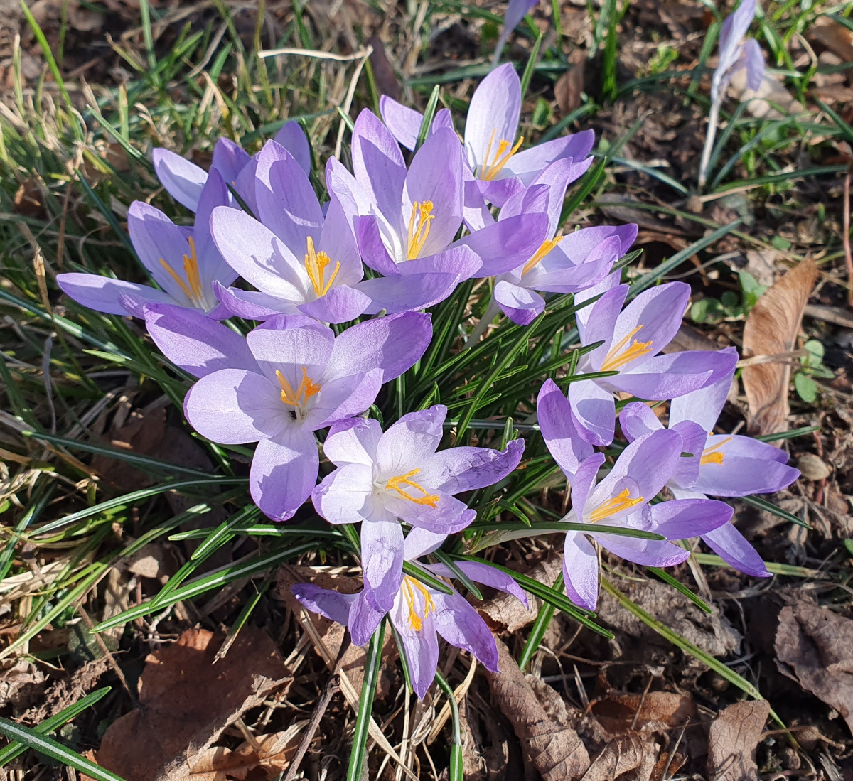 19fd6262-566b-4e92-87cc-6ad5d61a6c17