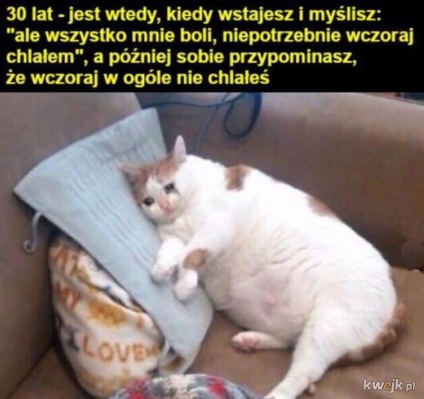 fefe3704-2c93-4e9b-962e-69624fdbf042