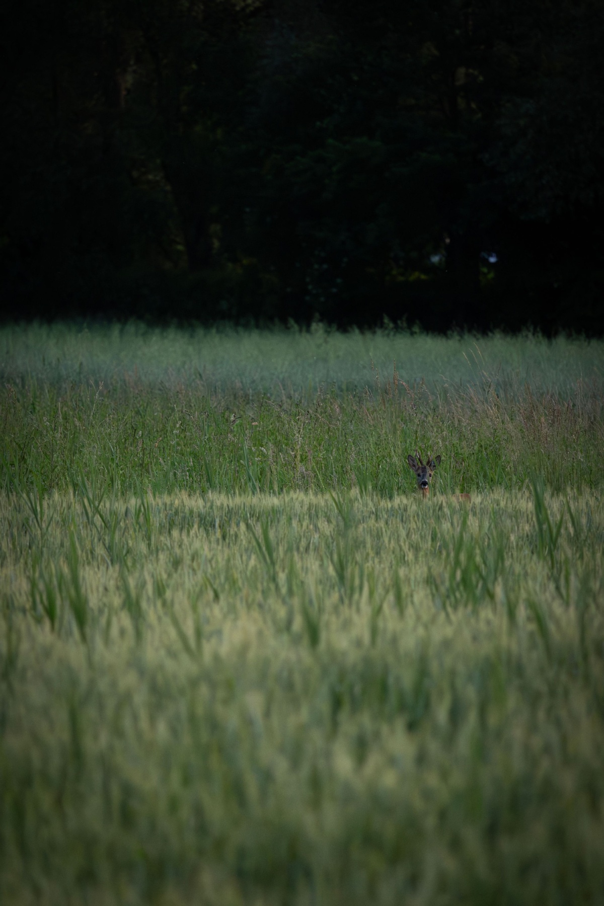 576c433b-e34c-4843-9d10-7acde1114847