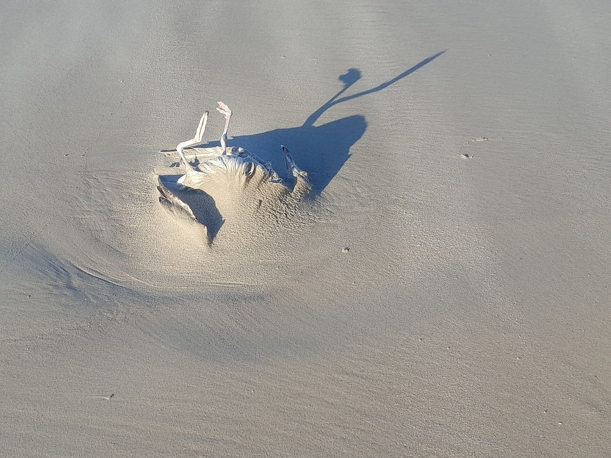 cc16e3e6-7f05-49bb-8fe6-5b094a2380eb