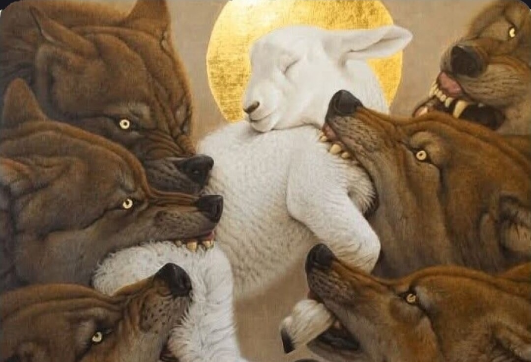 e8011f8a-7387-4ccf-a2fe-d7e0e32e261e