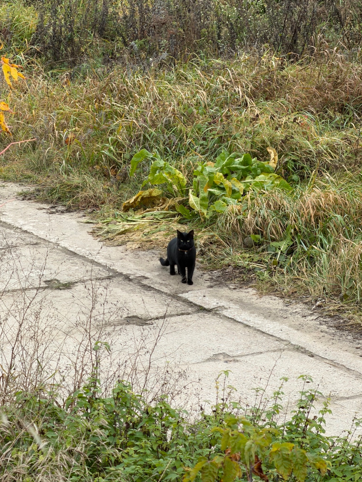 9bc8e124-4ae0-4bd5-bf6e-a277161895ff