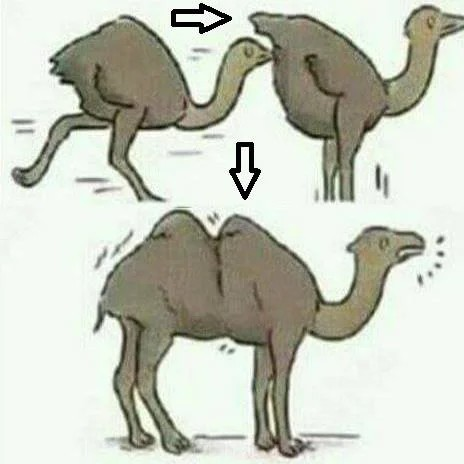 68bfda46-b0f0-4473-bf75-7790474f67ad