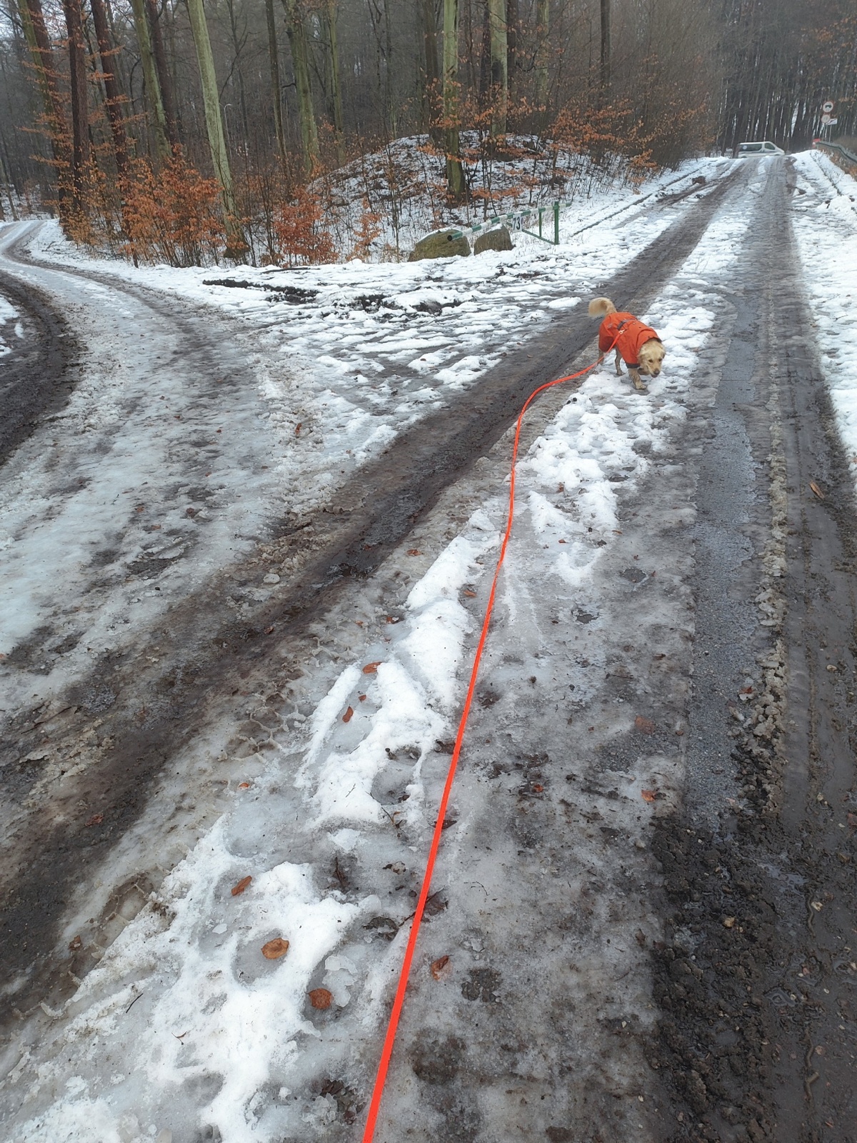 8123c7d1-35d7-4ea8-88b3-c6853fc427a7