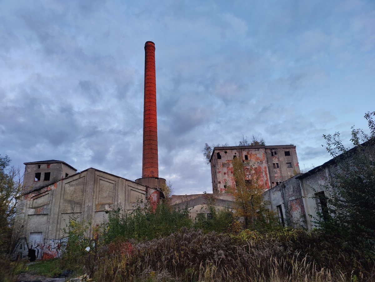 7ed3d11d-3015-4c36-a2a5-9fe65a0c2881