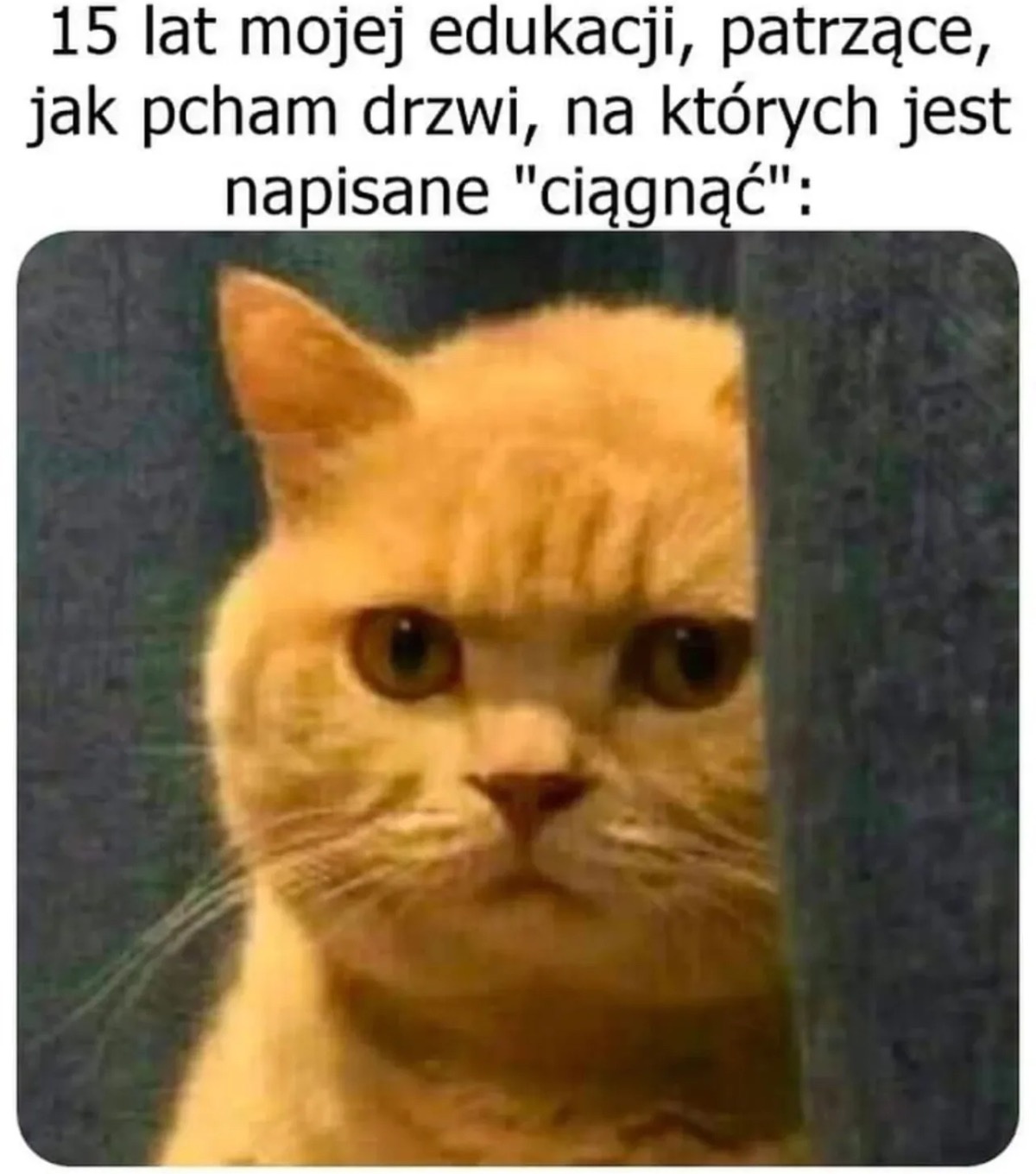 fd5f7d76-7c1a-48b9-98cb-762158a3bd58