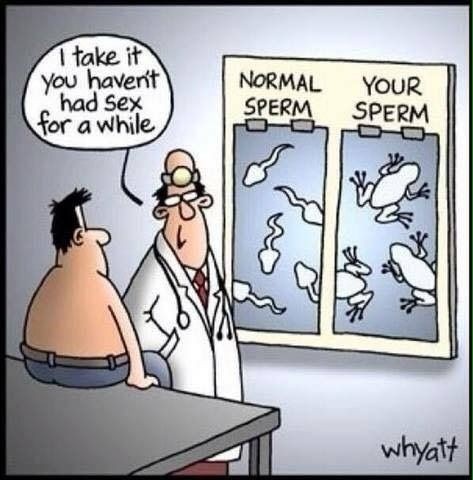 343e61c6-be70-44f5-a731-10dbb959fd01