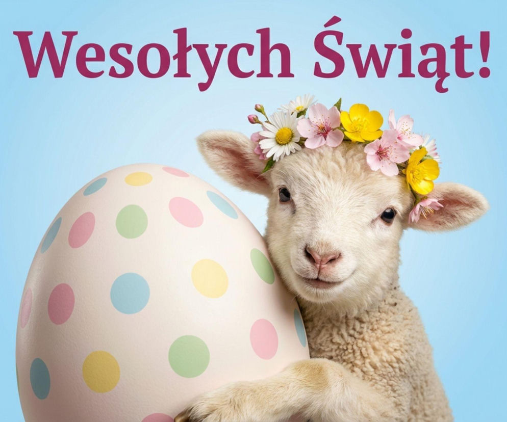 123468d3-afdf-4624-96bc-aa3be88d843a