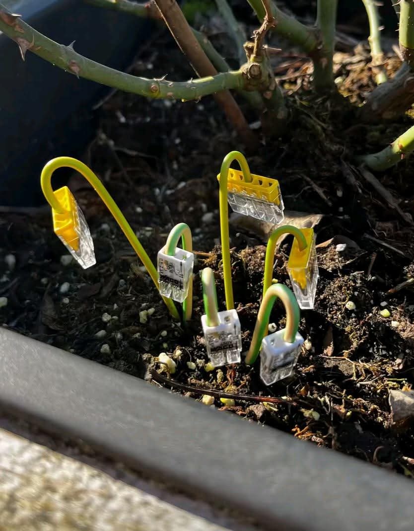 b4ab5255-f5c0-4c52-90ff-562e6ee11b30