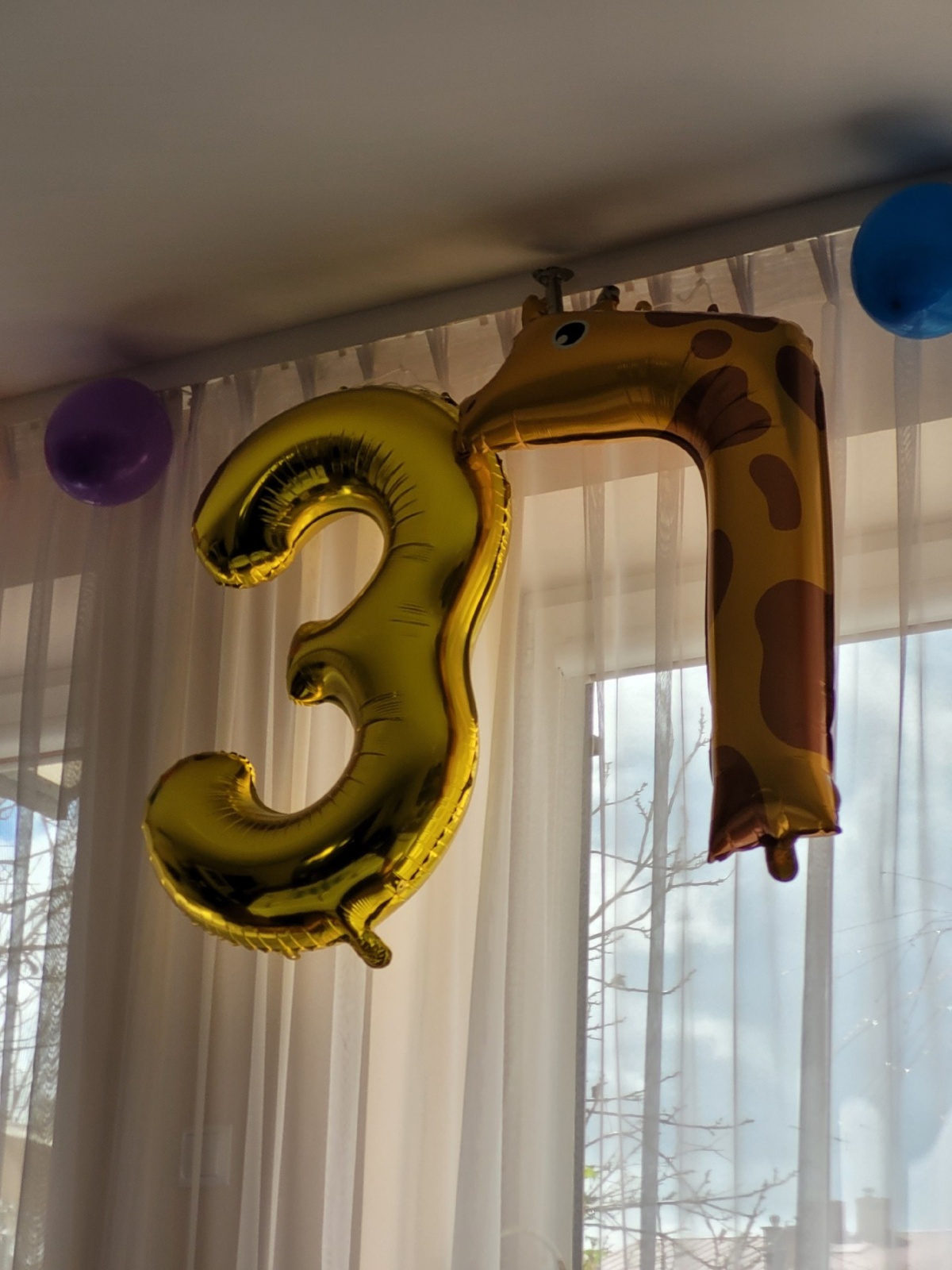 bb79440b-0dd5-4885-9895-fe8b8d89d603