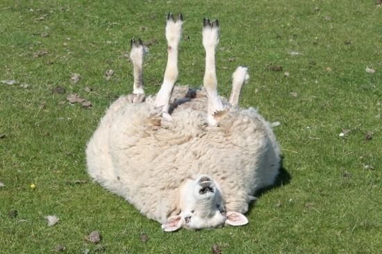 65faa6b5-c360-405a-ad5b-69549f1fe748