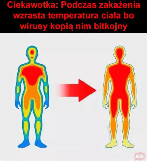 efd2c910-a607-4c42-b760-9704b268ef7f