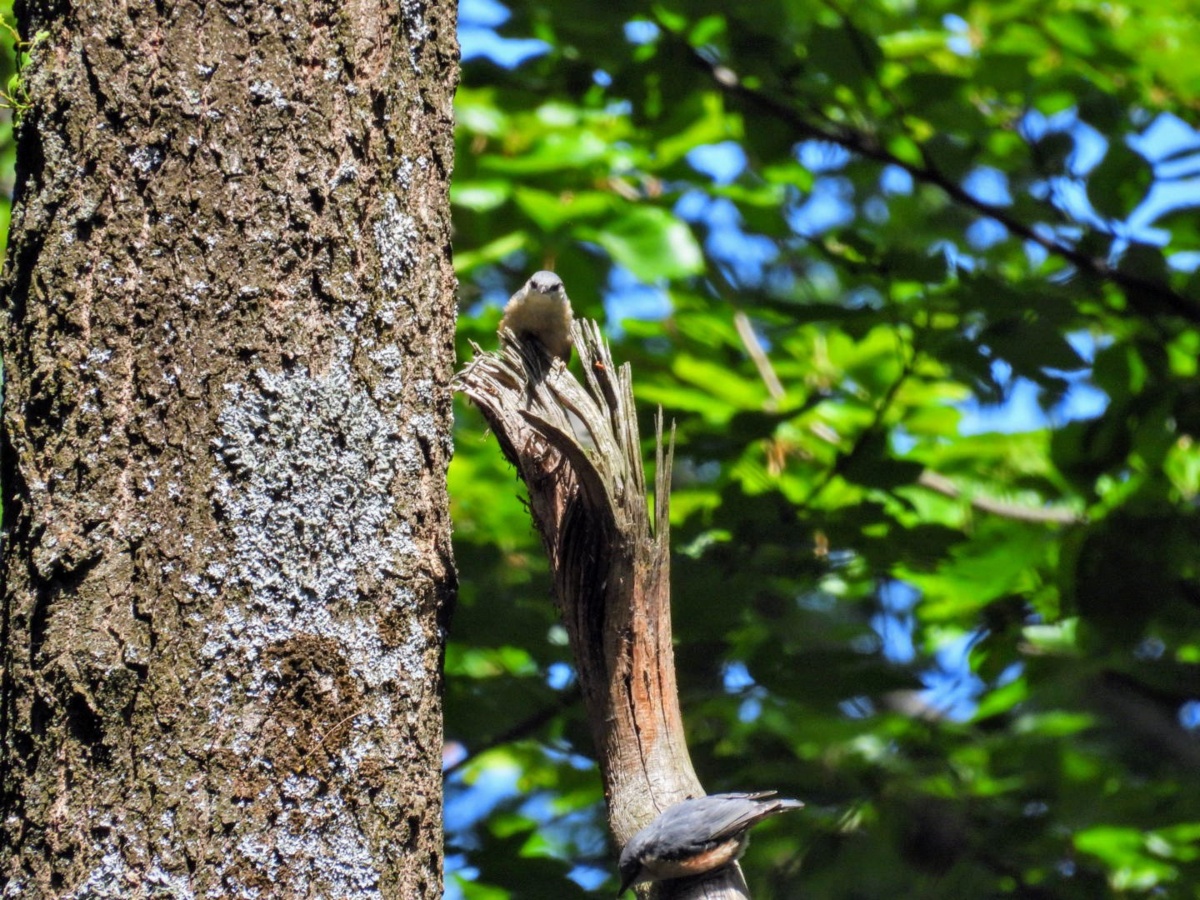 0c770018-ac03-47c7-85cd-7808e823b652