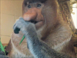 338b8d40-24e4-436c-9dd7-055e11124de4