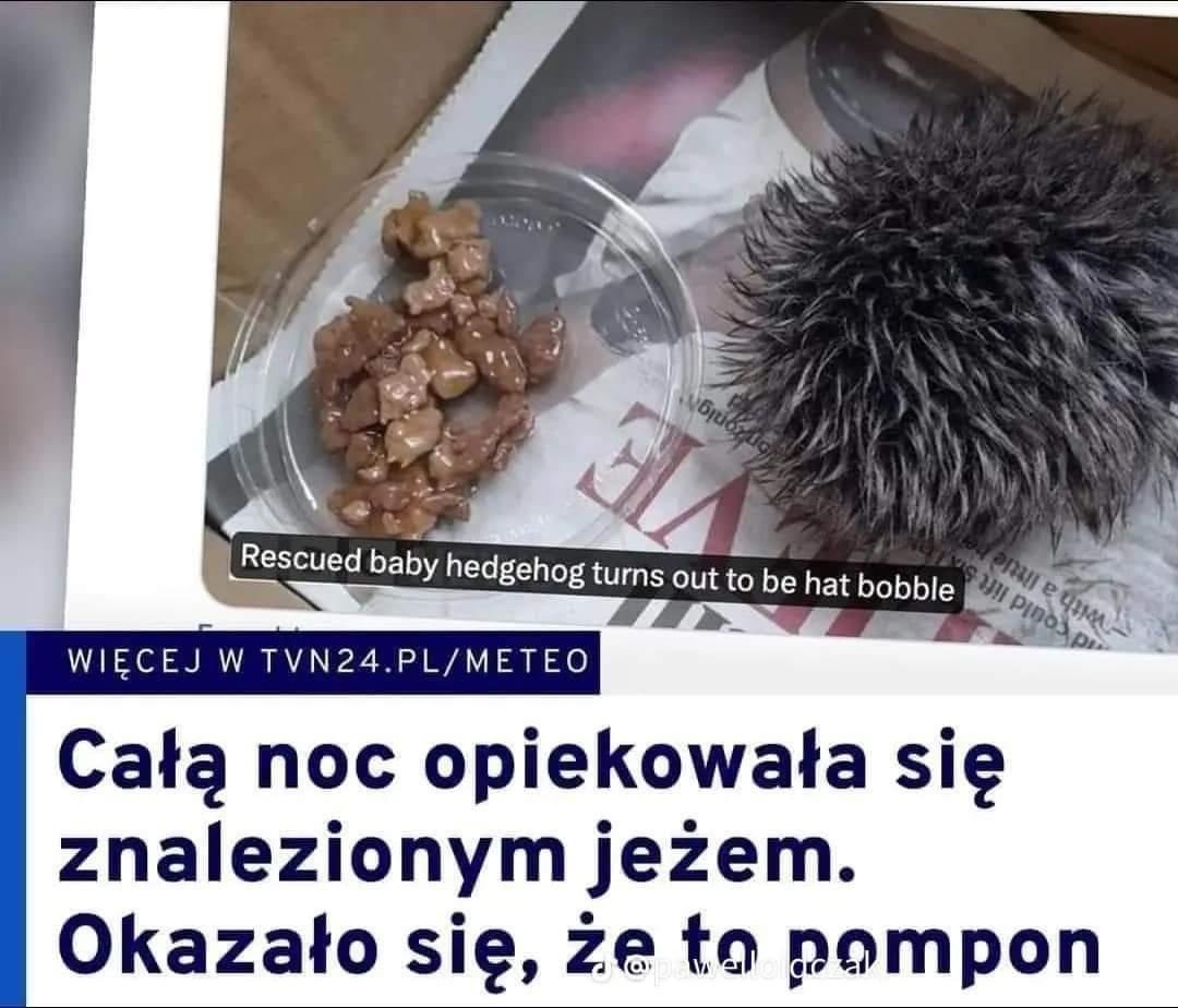 346bb066-560b-4851-a4f4-93640351c6f4