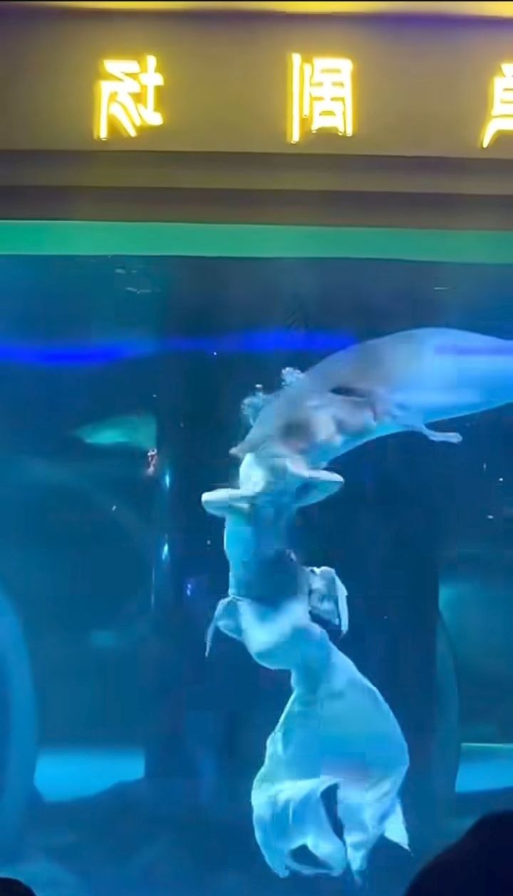 ad419ba1-bb11-4056-b2dd-9aeeaefa57d1