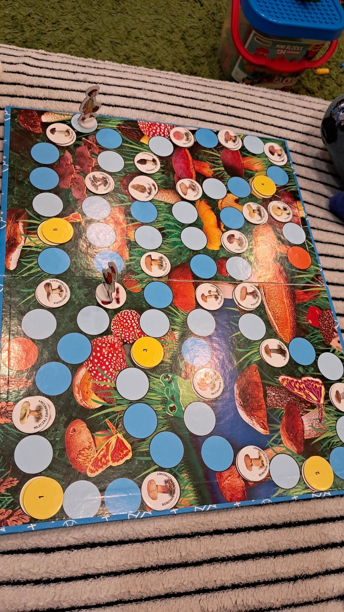 062c7e10-2c28-48a2-8603-caef97fec56f