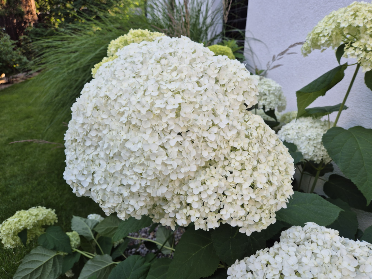 8851323e-4a11-4f1f-b08d-1bd0d8f1c1d3