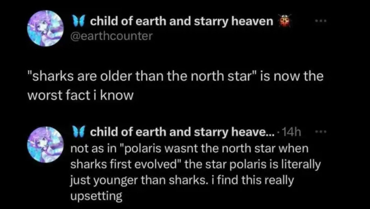 cf614519-bea7-46be-89b8-8cc7da3de760