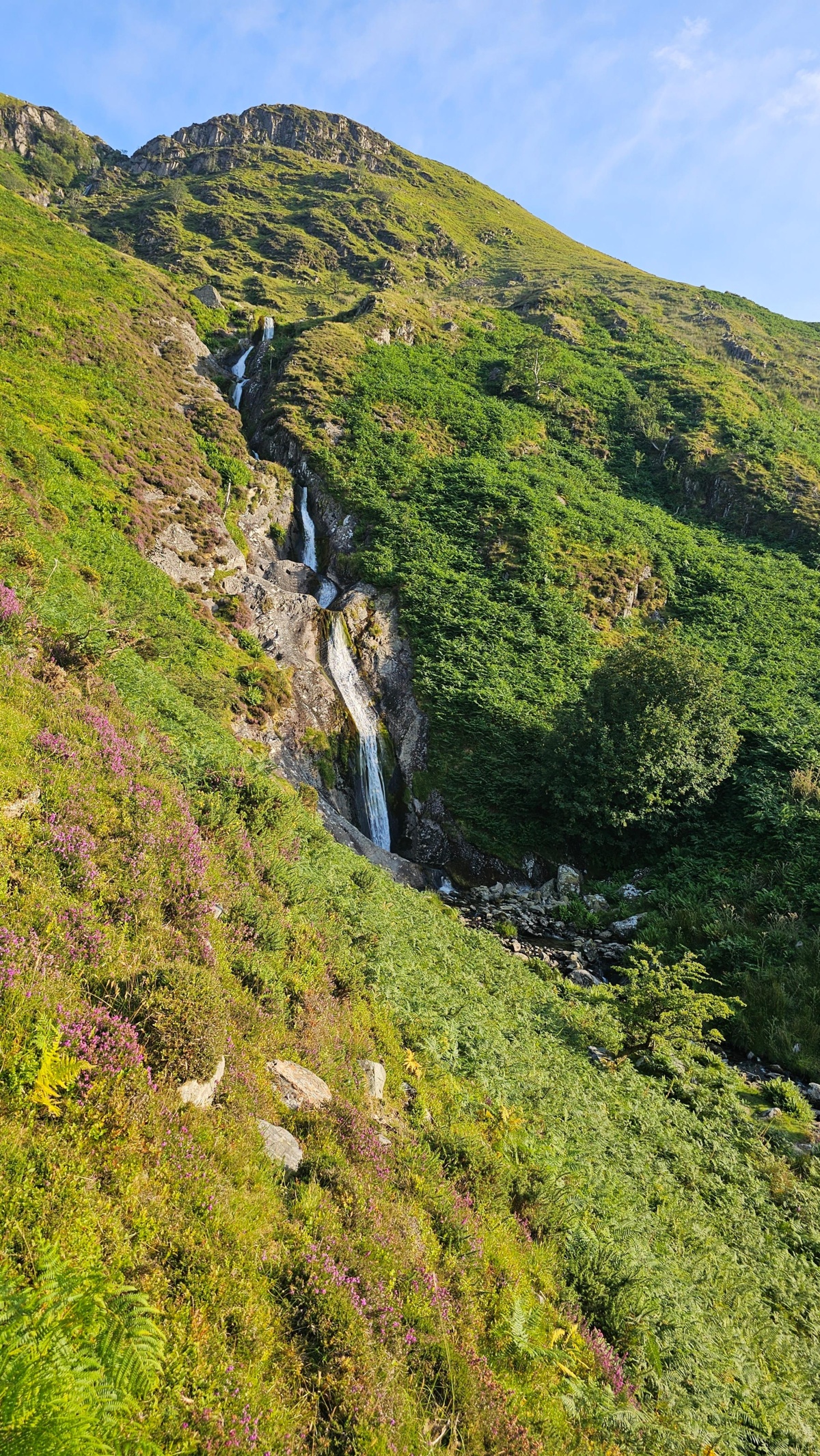 a332422e-4087-4cd2-a5d9-93f4306d0c64