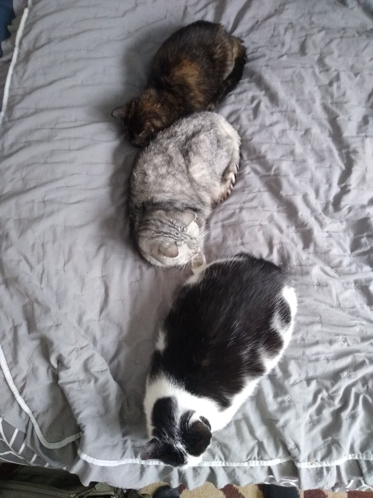 144bfefc-3f63-4fb2-b8d1-21e69abcf67f