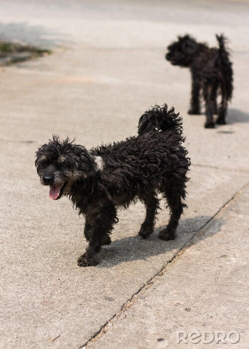 234d4960-4823-4608-ab9c-4e29af2518cf