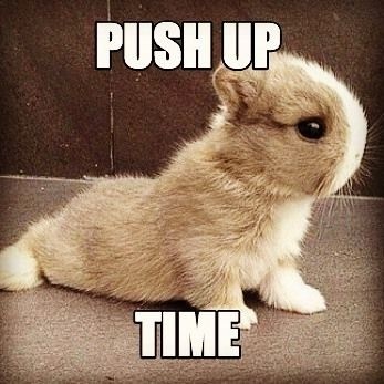 57479b6b-f9b0-4332-b306-1a4bb6df652c