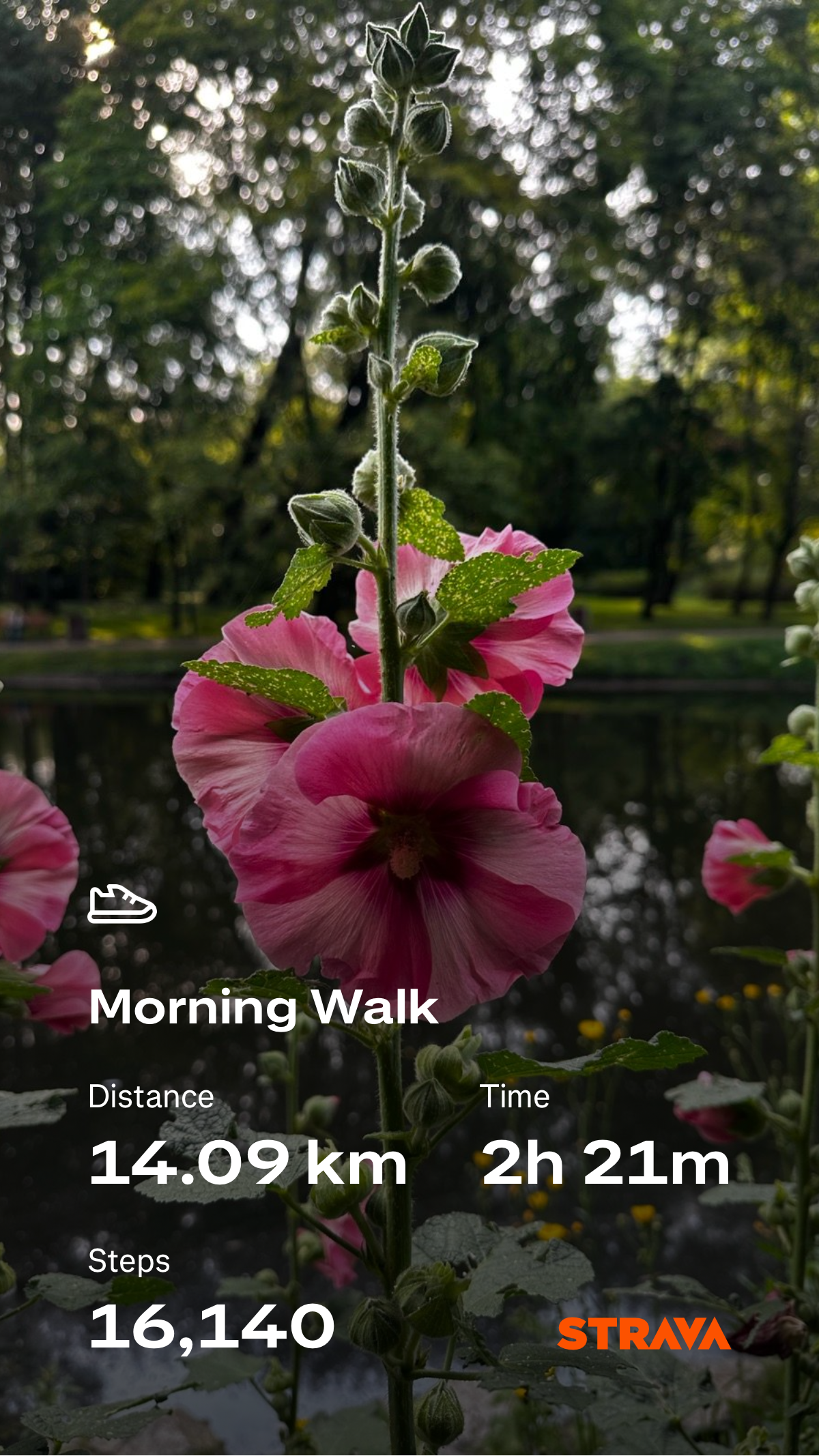 459a68c9-1e59-49e3-8c88-49f9fa78e27a