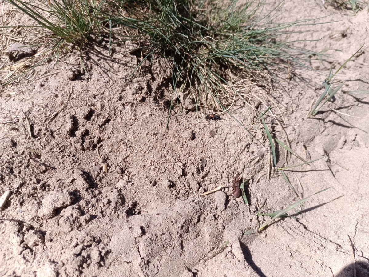 0456844a-82f6-4ce3-8066-08251fd5495d