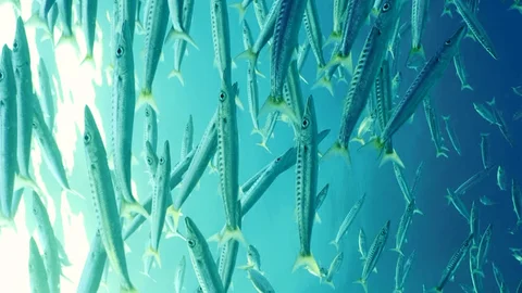 eb864dc7-b870-446f-af6e-99a851b1abe6