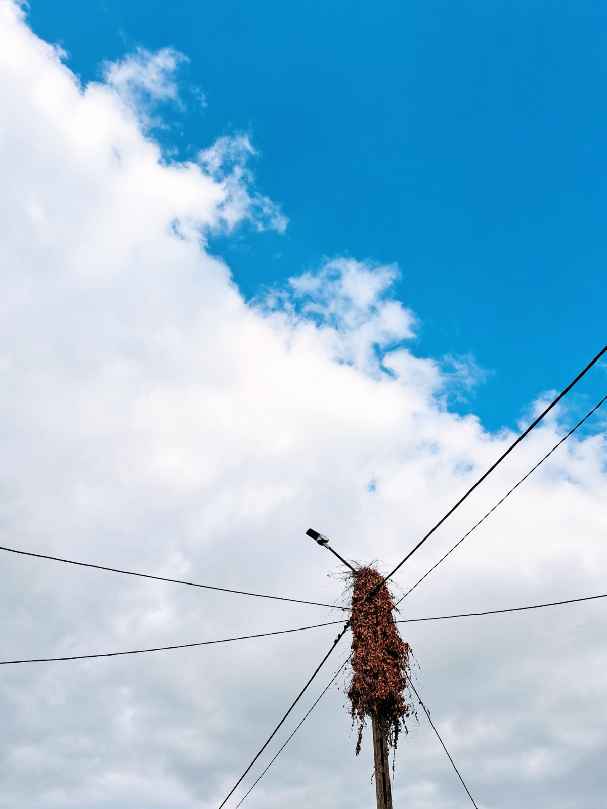 f5034697-819c-4761-9520-541abb1a849e