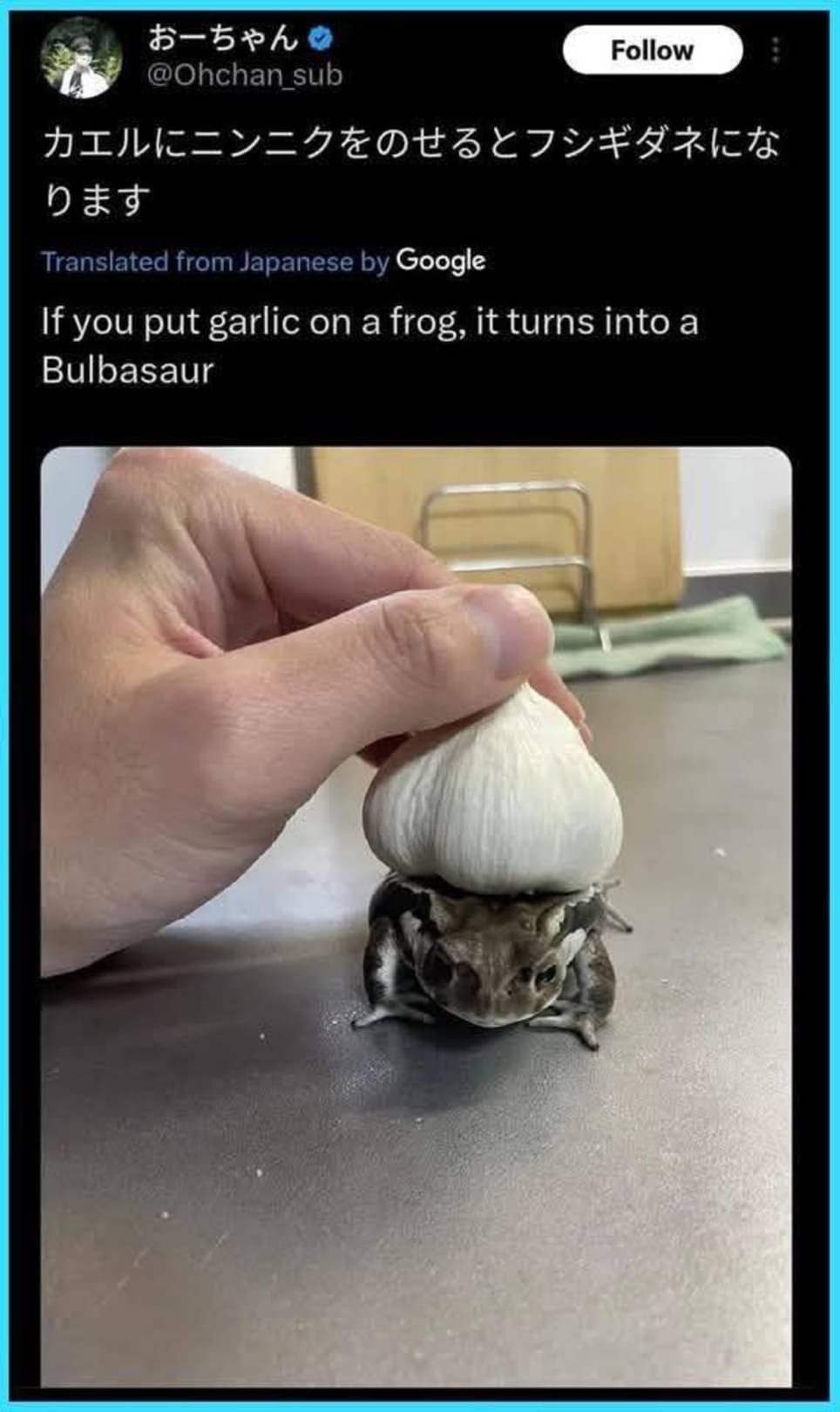 532b28b2-9640-4222-ae29-cbea620607d2