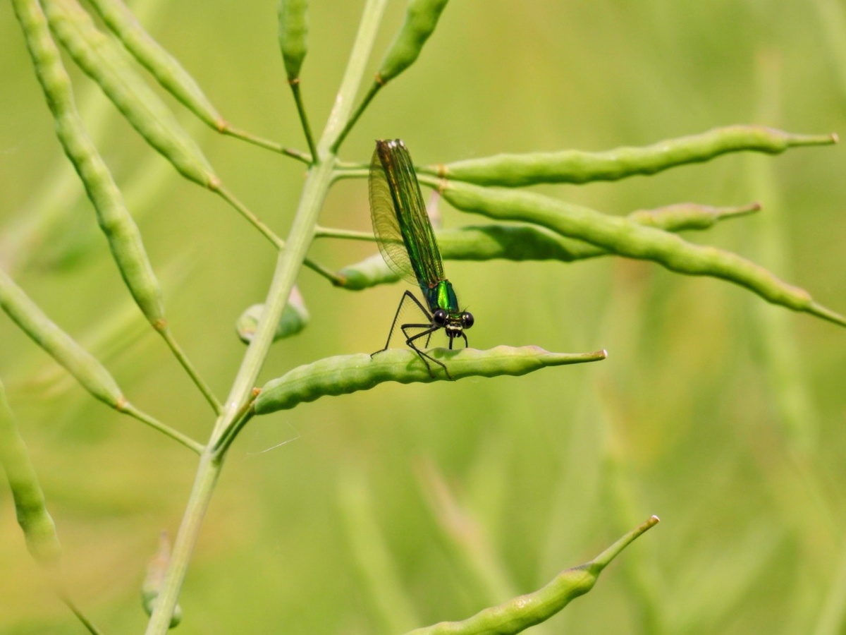 00b72010-af6e-4287-9a14-d9a11bfaf55f