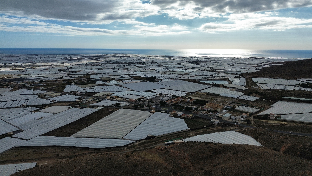 7699ece5-81ee-414c-b85c-279de5b388f9