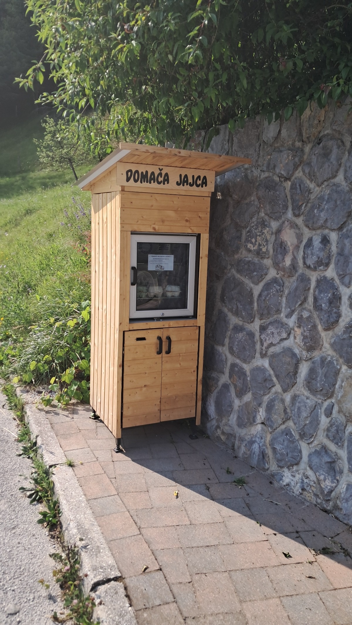 3e55069a-ef81-476c-ba9c-700a126fb510