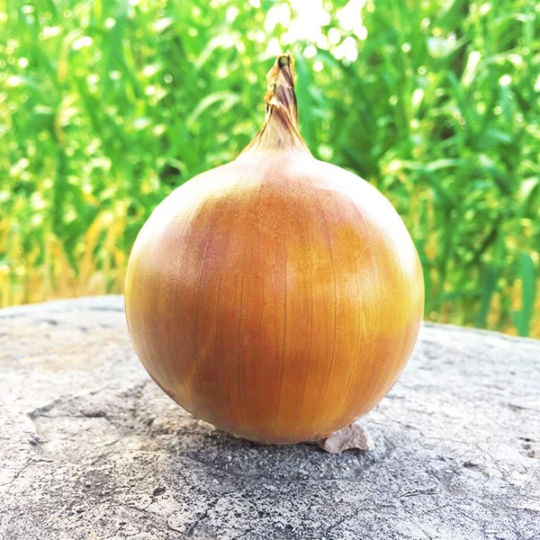 1f49cd66-b91d-4efc-8bb5-8bdb561ee2f7