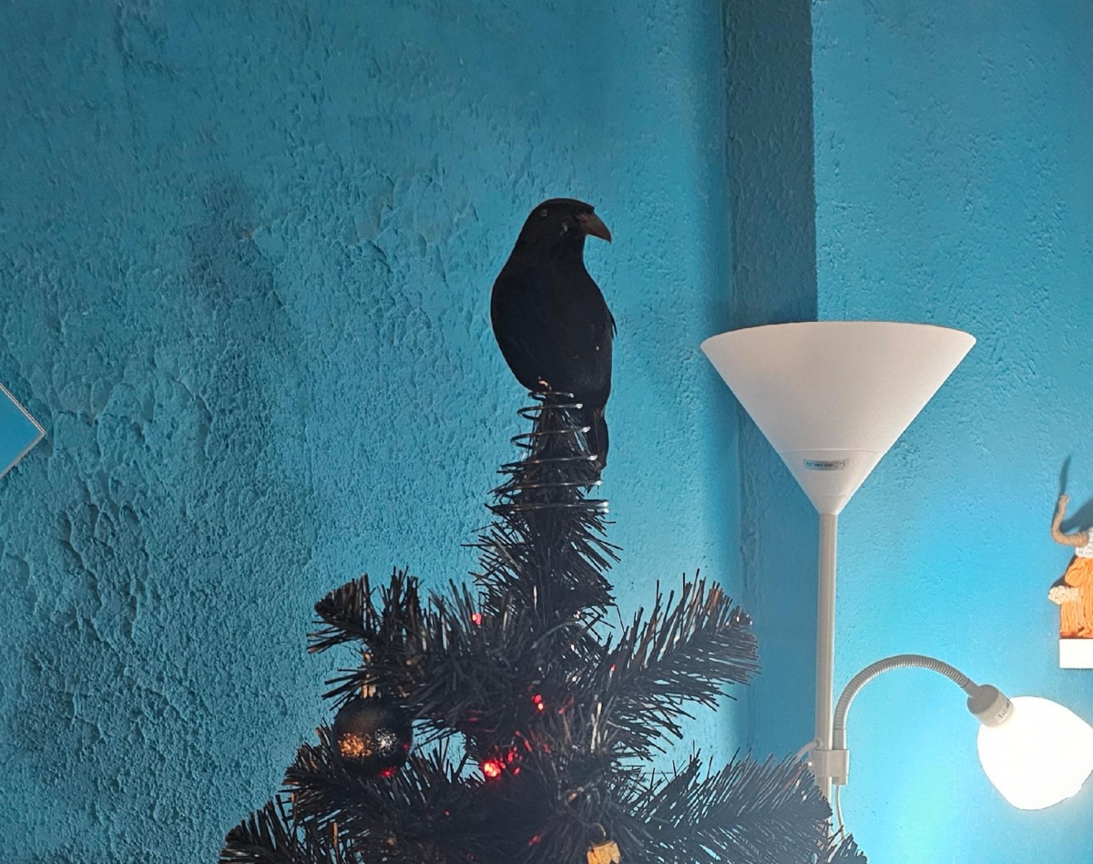 863e7da7-054b-4f1d-86f3-0a7ffd60cce3