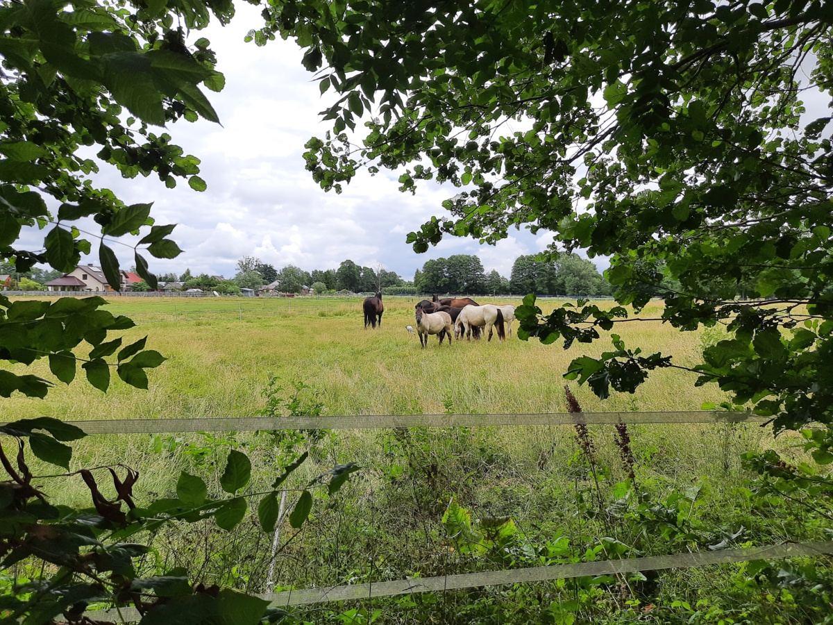 97c1431a-1c44-4582-920e-0efcec8f95a0